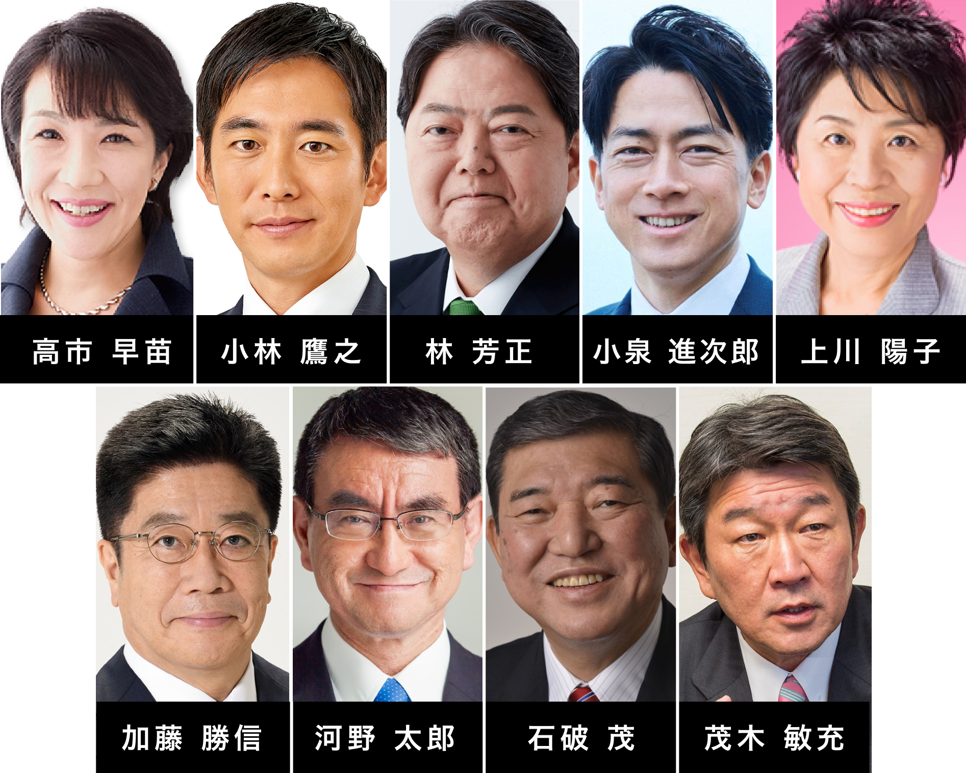 自由民主党 総裁選挙